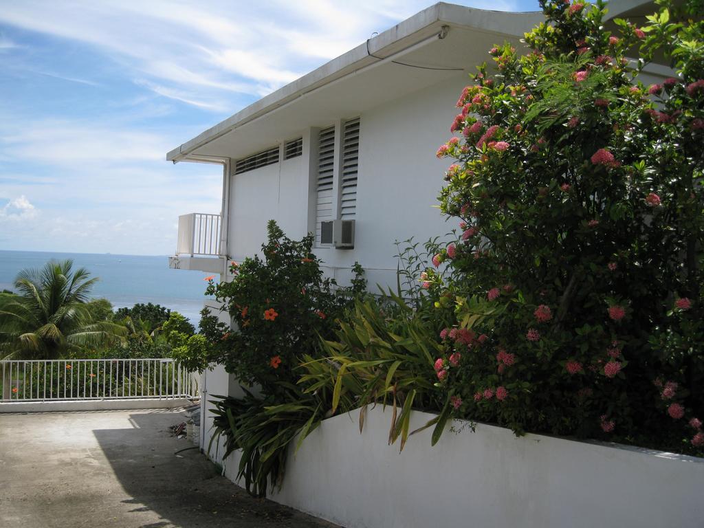 A Seascape Guest Room Fajardo Exteriér fotografie